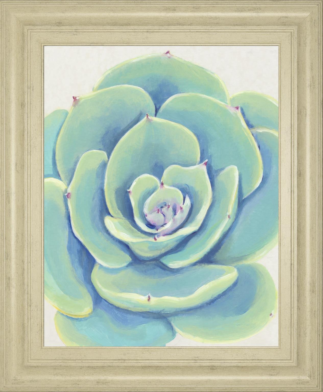 22x26 Pastel Succulent IV By Tim OToole - Light Blue Classy Art
