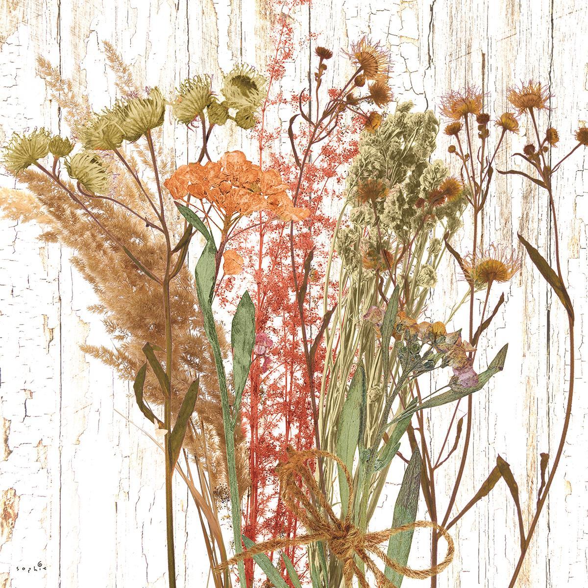 Framed - Earth Party II By Sophie Six - Pink Classy Art