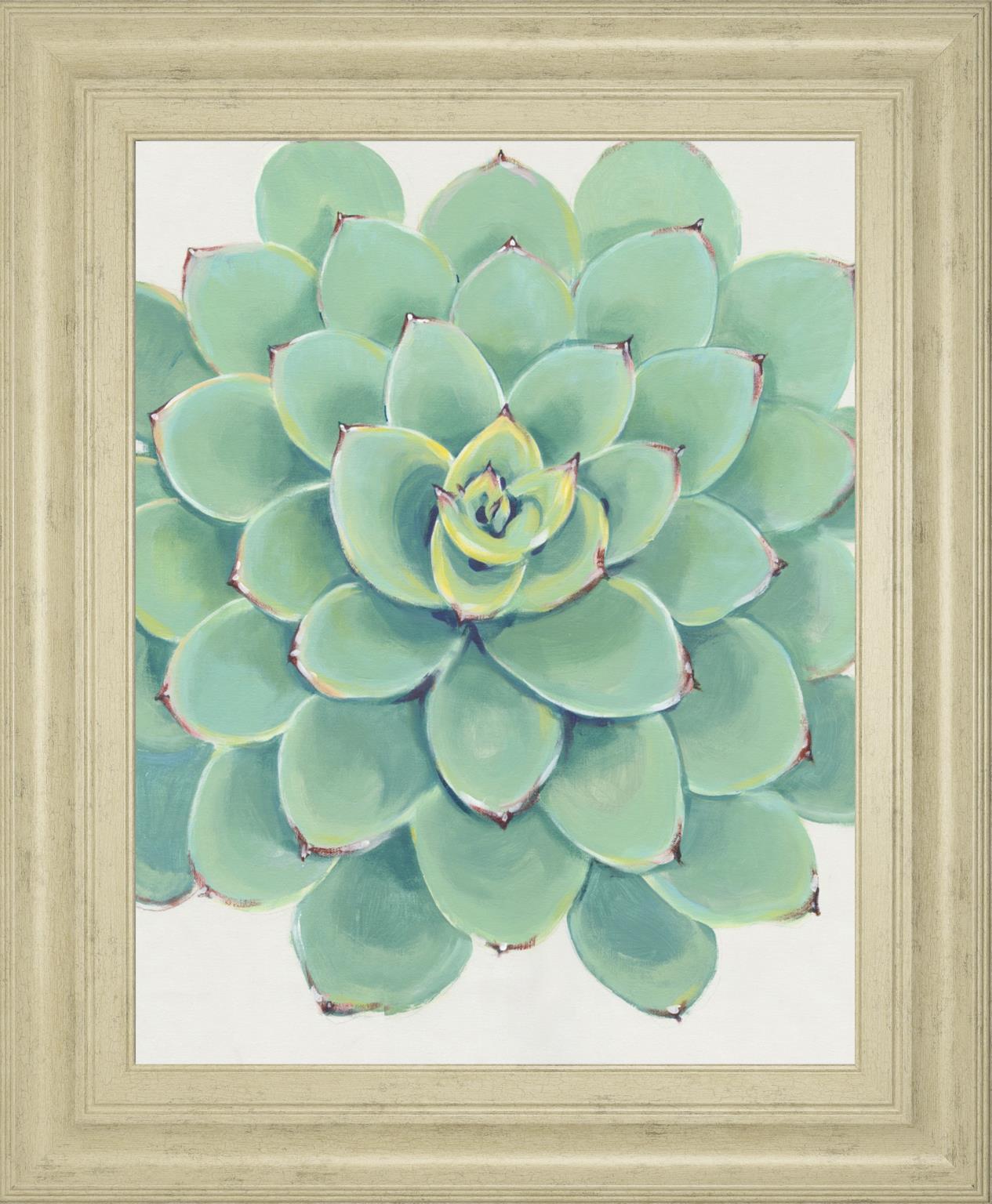 22x26 Pastel Succulent III By Tim OToole - Green Classy Art