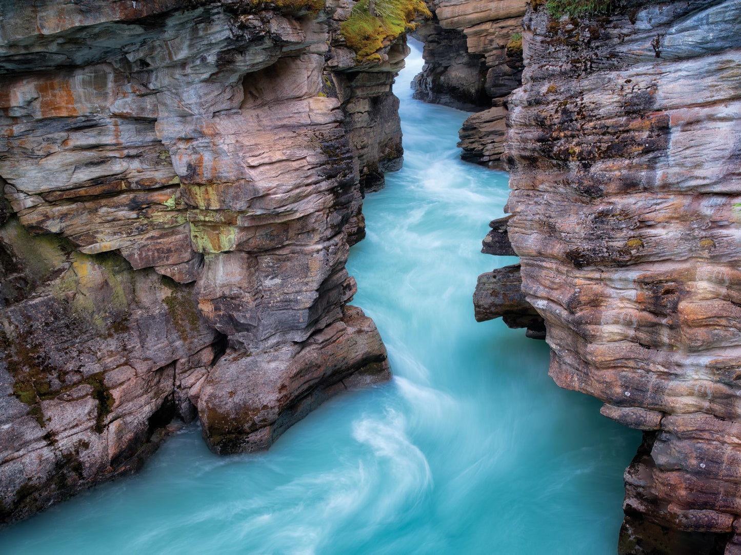 Aqua Velvet By Dennis Frates - Dark Brown Classy Art