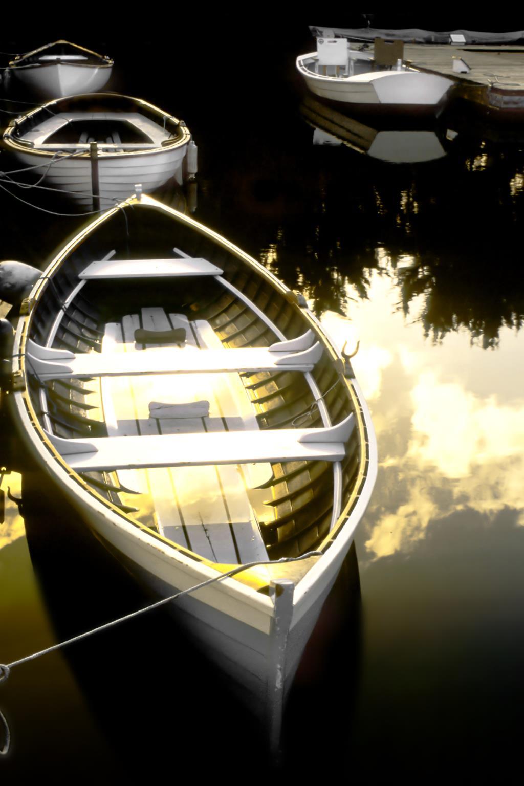 Morning Ready By Danita Delimont - Black Classy Art