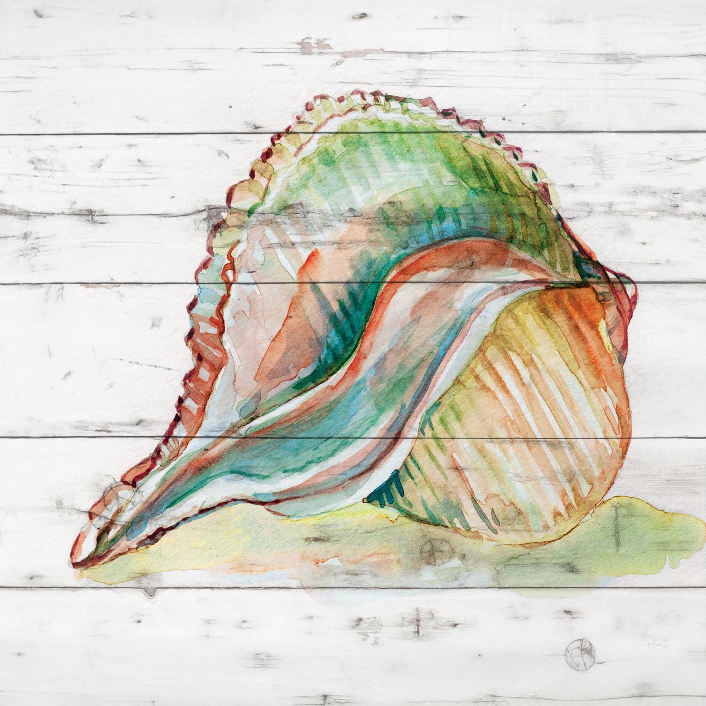 Framed - Tye Dyed Shell II By Carol Robinson - Green Classy Art