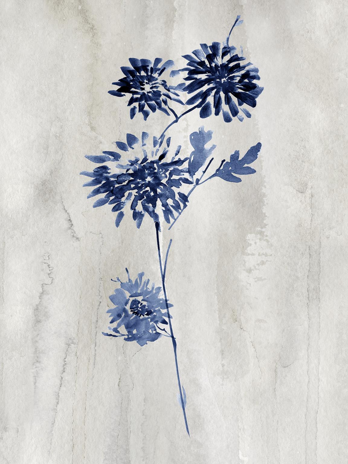 Framed - Indigo Botanical Iv By Conrad Knutsen - Blue Classy Art