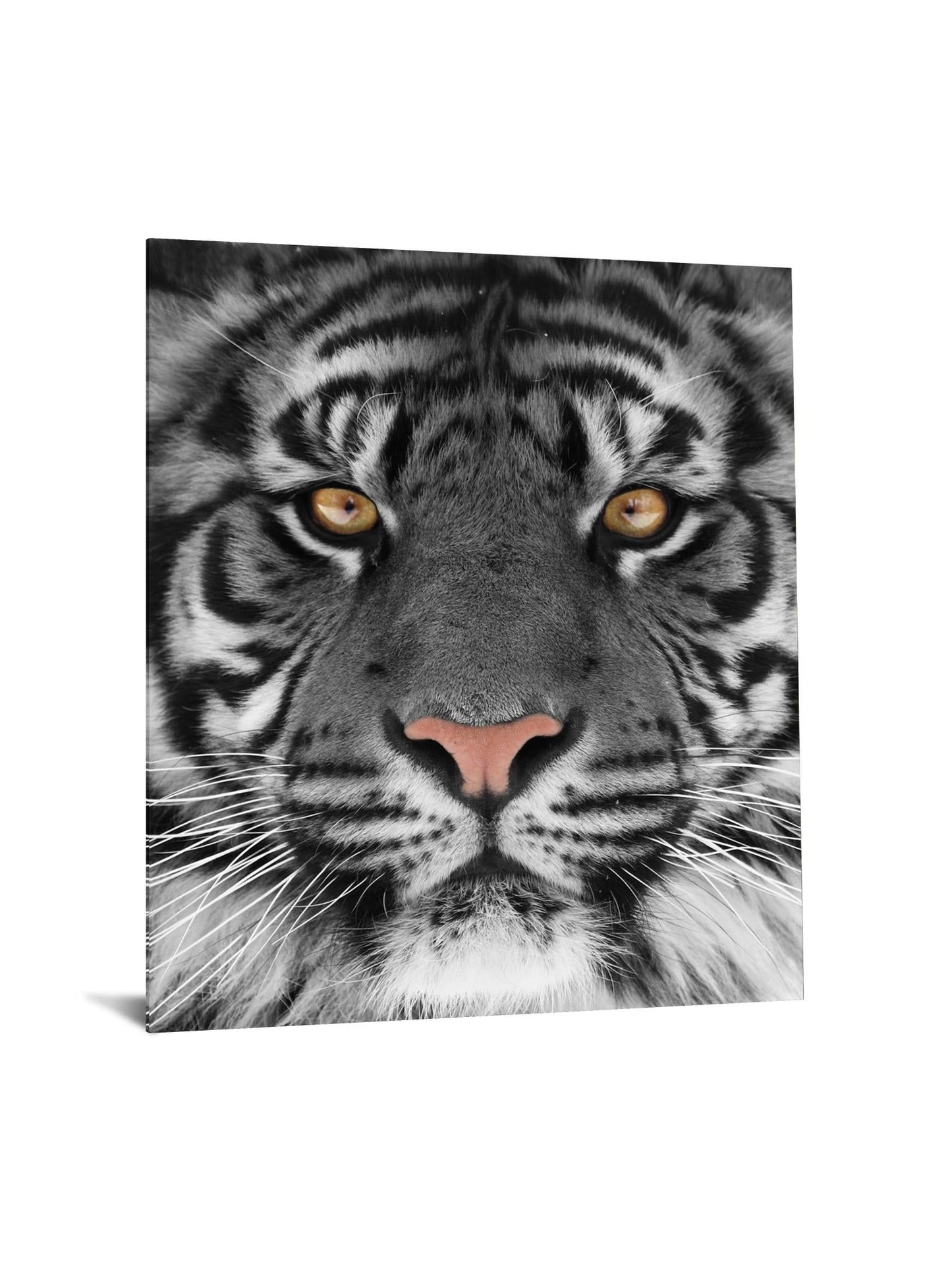 Floating Tempered Glass With Foil Tiger - Dark Gray Classy Art