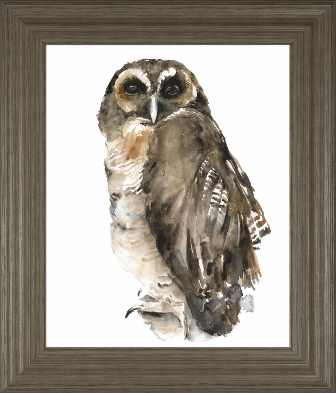22x26 Watercolor Owl I By Jennifer Paxton Parker - Dark Gray Classy Art
