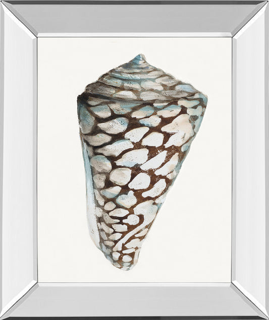 Modern Shell With Teal Il By Patricia Pinto - Mirror Framed Print Wall Art - White Classy Art