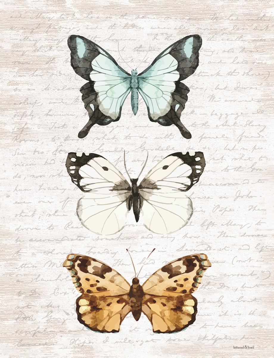 Small - Butterfly Trio By Lettered & Lined - Pearl Silver Classy Art