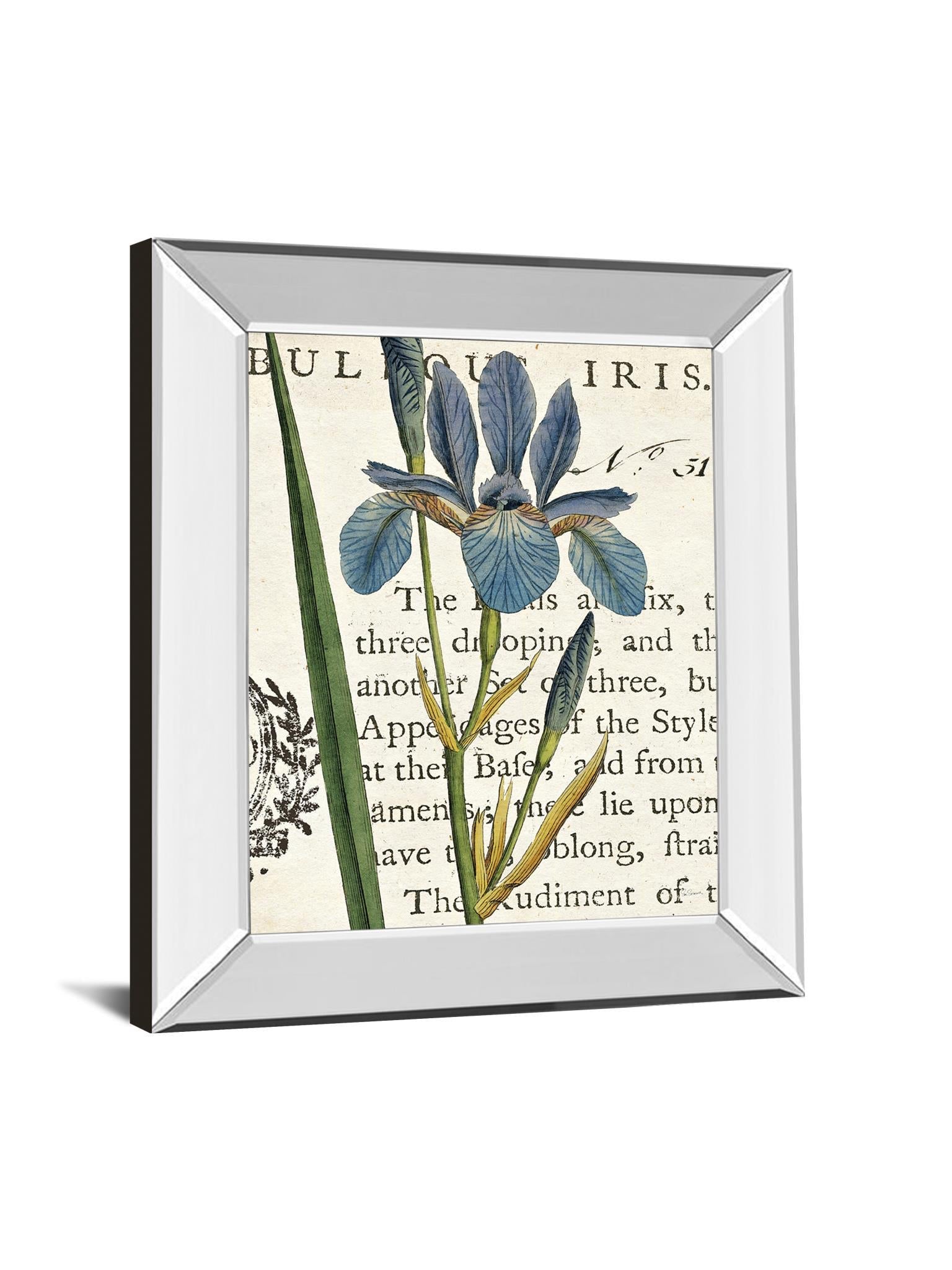 Iris Letter By Sue Schlabach - Mirror Framed Print Wall Art - Blue Classy Art