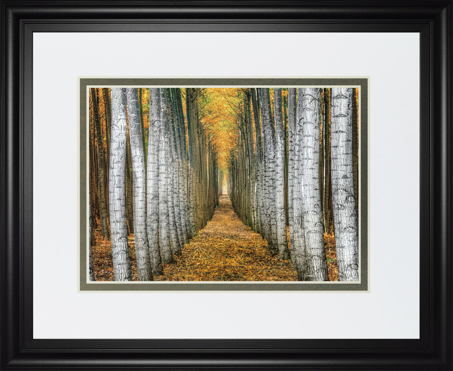 Tree Farm By Cahill - Framed Print Wall Art - Yellow Classy Art