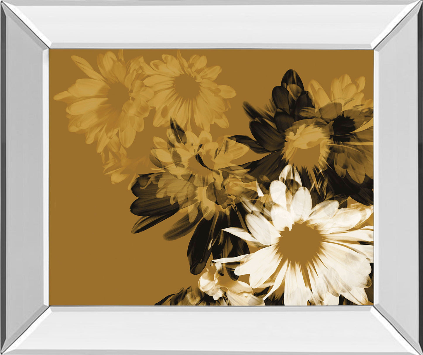 Golden Bloom Il By Mirror Framed Print Wall Art - Dark Brown Classy Art