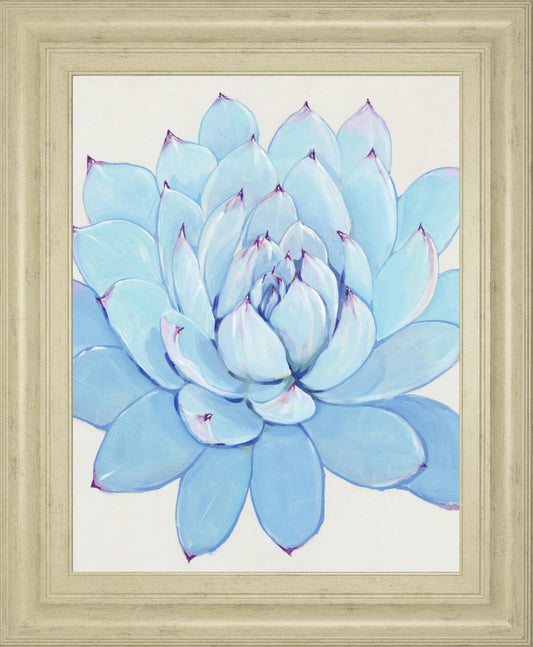 22x26 Pastel Succulent II By Tim OToole - Light Blue Classy Art