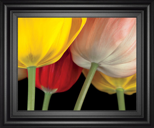 Sunshine Tulips By Frank, A. - Framed Print Wall Art - Yellow Classy Art