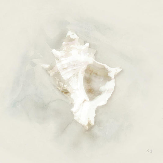 Soft Sand And Shell I By Susan Jill - Beige Classy Art