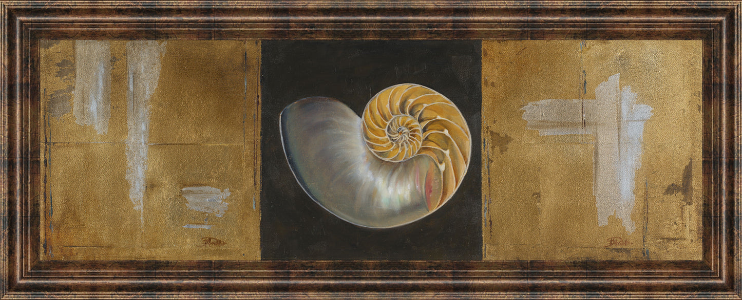 Seashells Il By Patricia Pinto - Framed Print Wall Art - Yellow Classy Art