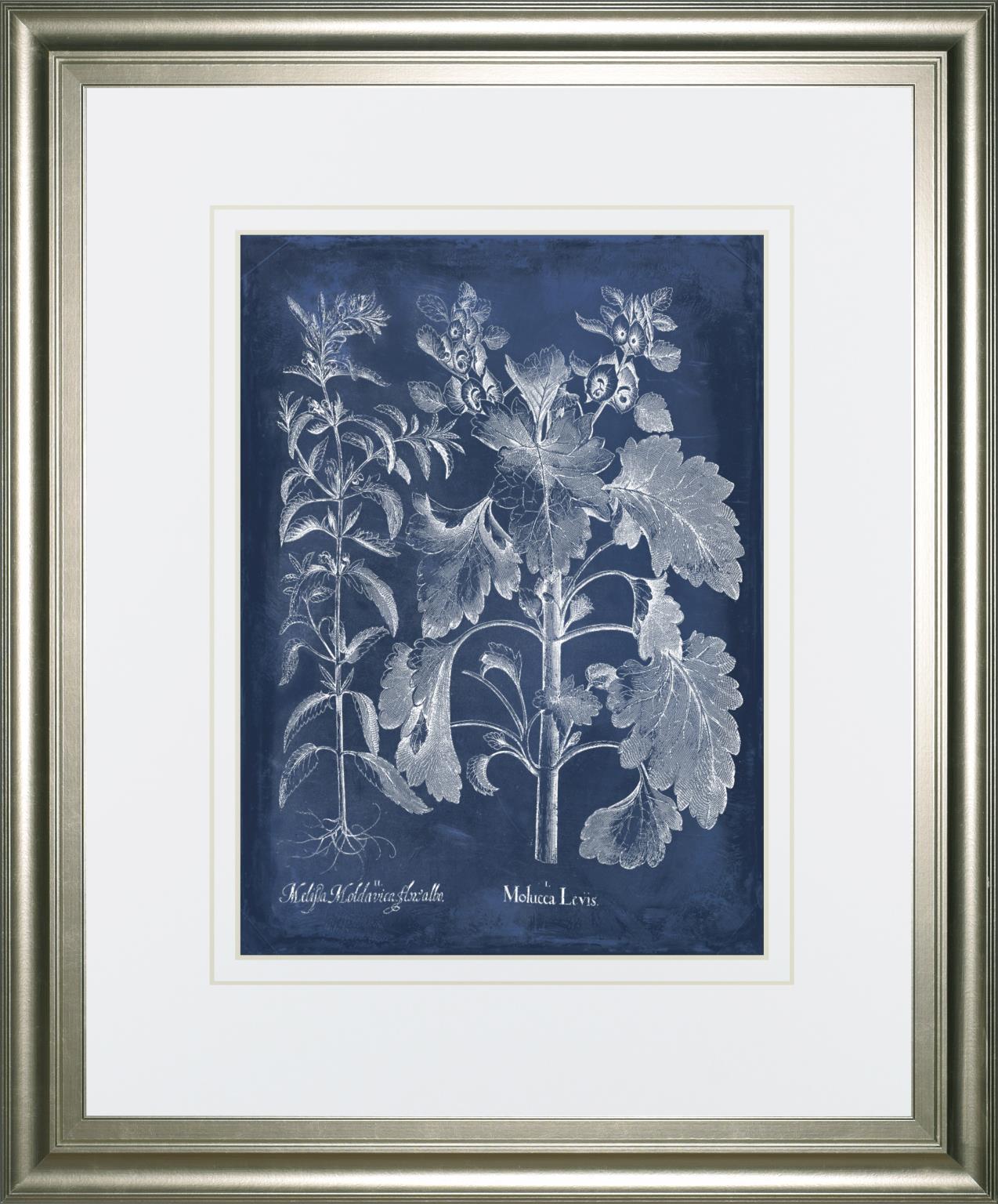 34x40 Besler Leaves in Indigo I By Vision Studio - Blue Classy Art