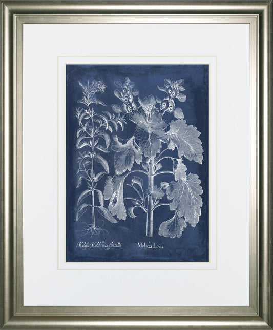 34x40 Besler Leaves in Indigo I By Vision Studio - Blue Classy Art