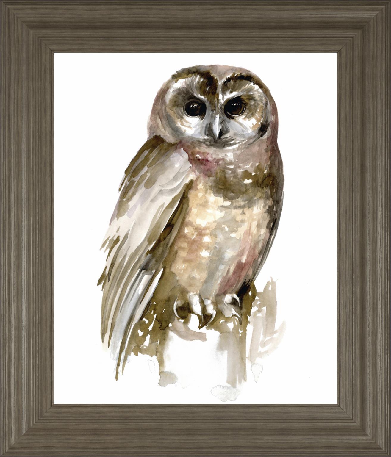 22x26 Watercolor Owl II By Jennifer Paxton Parker - Dark Gray Classy Art