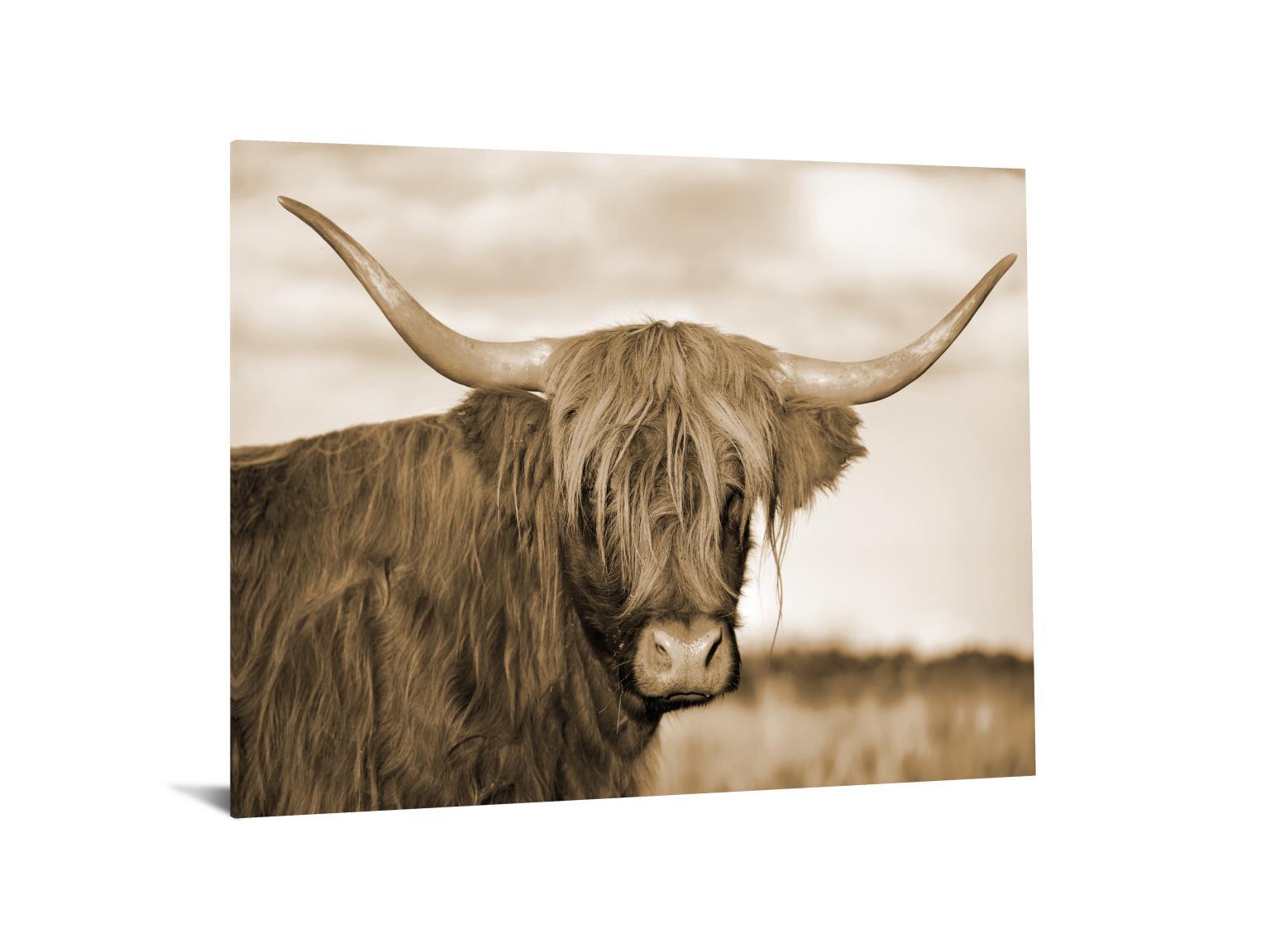 Tempered Glass With Foil - Highland Cow 1 - Light Brown Classy Art