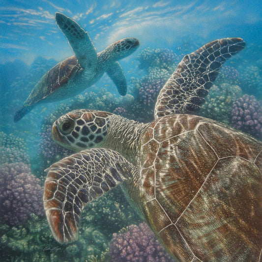 Small - Sea Turtles By Collin Bogle - Blue Classy Art