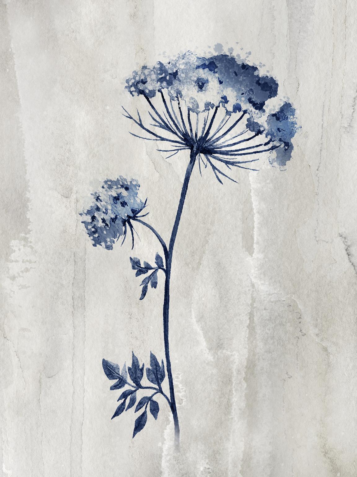 Small - Indigo Botanical I By Conrad Knutsen - Blue Classy Art