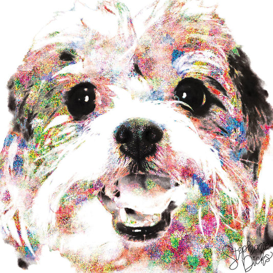 Cookie By Stephanie Dicks - White Classy Art