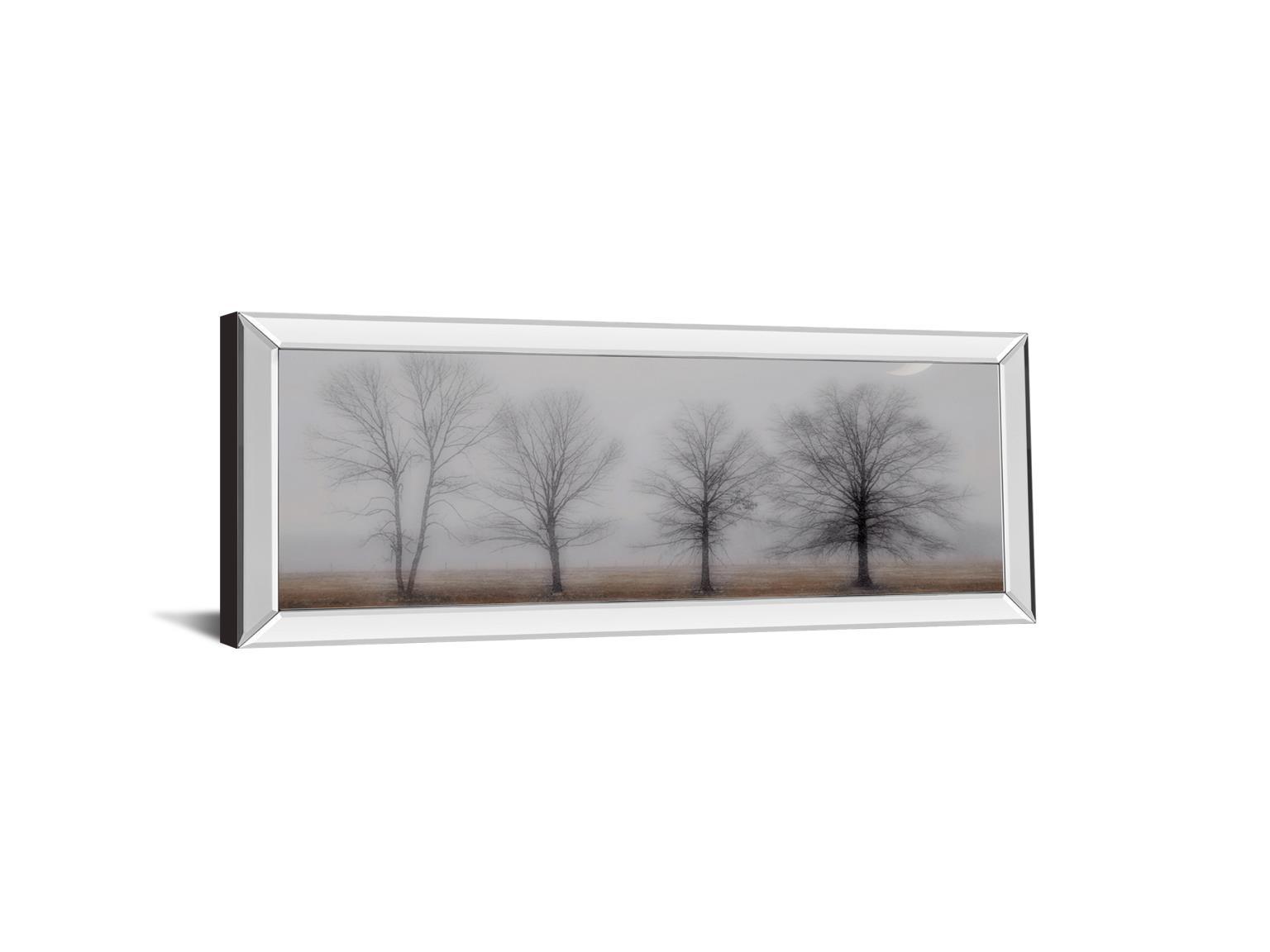 Early December By Jacks H. - Mirrored Frame Wall Art - Light Gray Classy Art