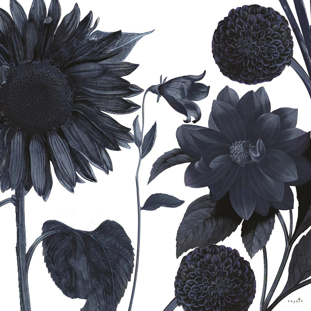 Framed Small - Blue Shift II By Sophie Six - Blue Classy Art