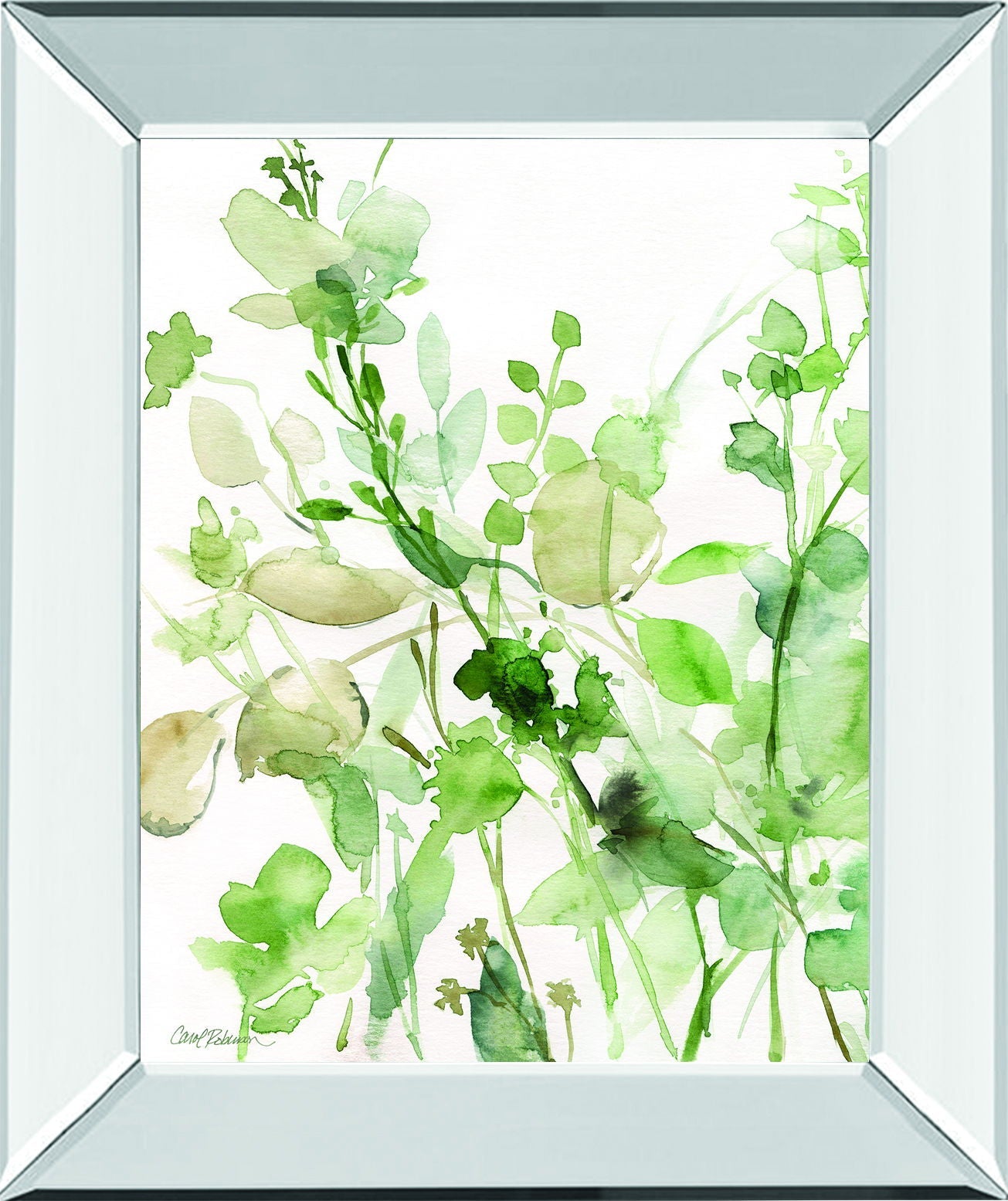 Sage Garden II By Carol Robinson - Mirror Framed Print Wall Art - Green Classy Art