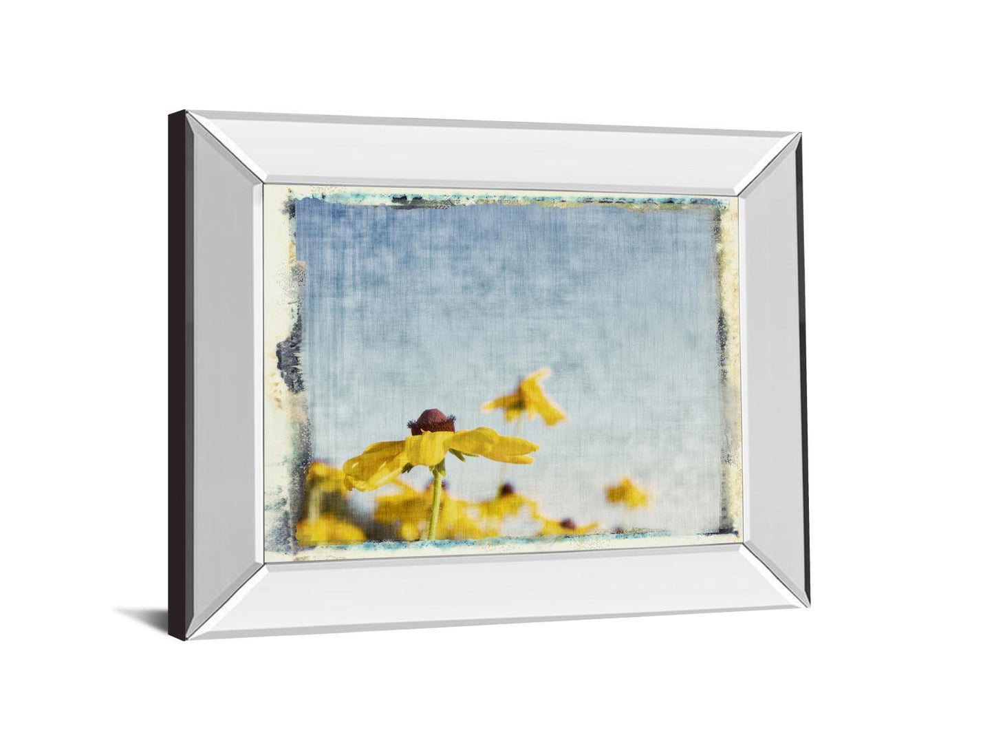 Blackeyed Susan's I By Meghan Mc Sweeney - Mirror Framed Print Wall Art - Yellow Classy Art