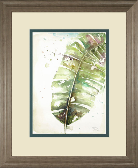 Watercolor Plantain Leaves Il By Patricia Pinto - Framed Print Wall Art - Green Classy Art