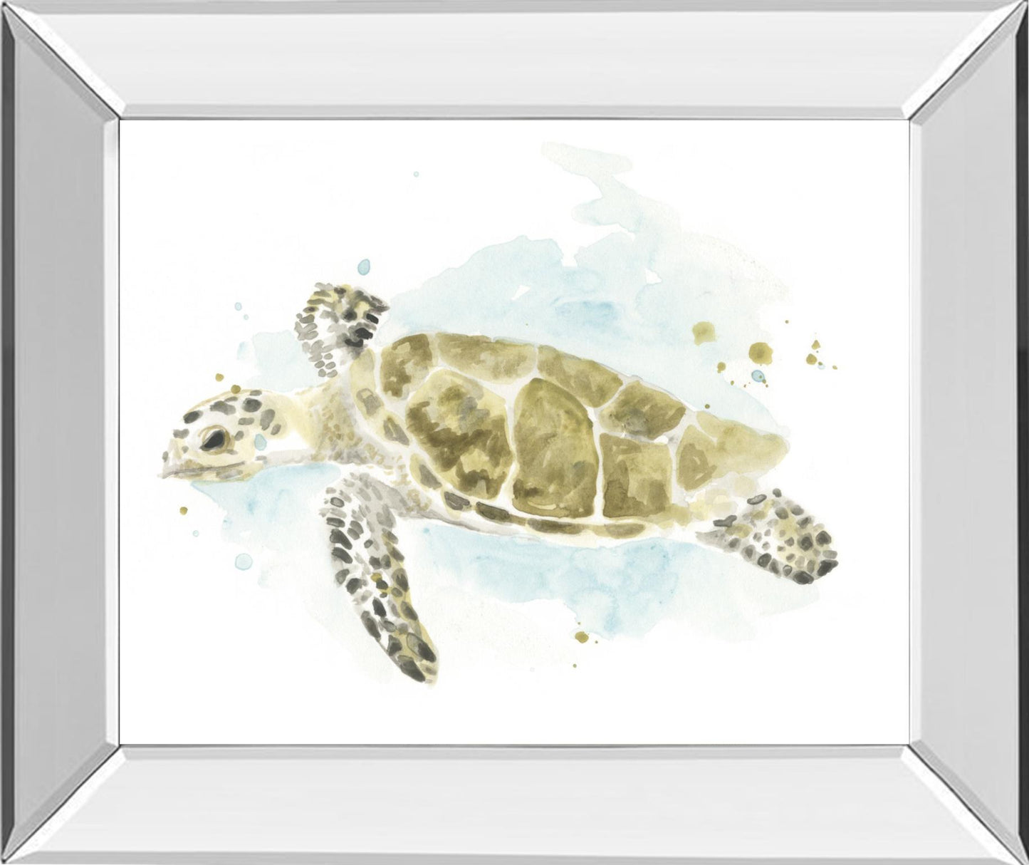 Watercolor Sea Turtle Study II By June Erica Vess - Dark Green Classy Art