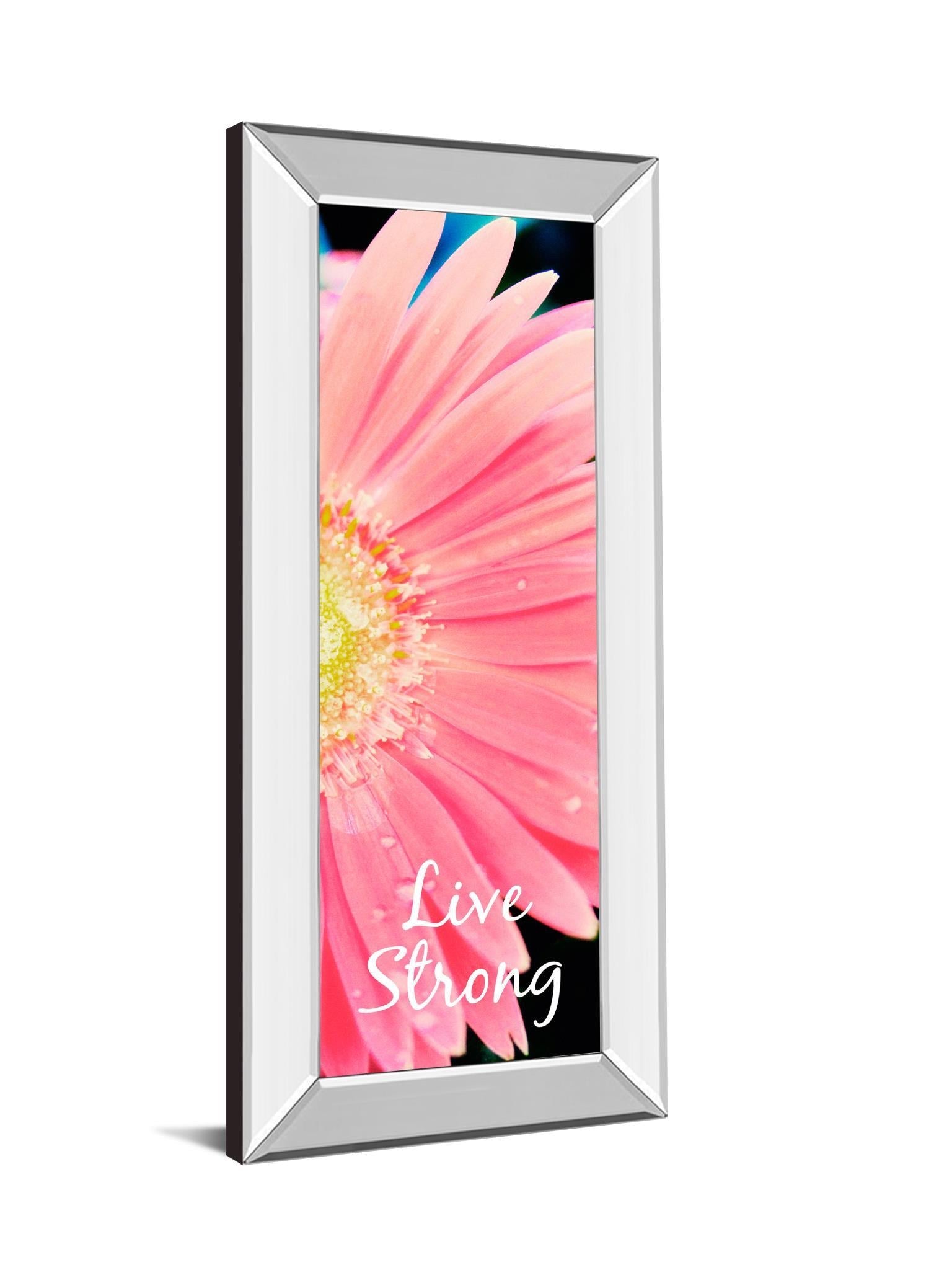 Live Strong Daisy By Susan Bryant - Mirror Framed Print Wall Art - Pink Classy Art