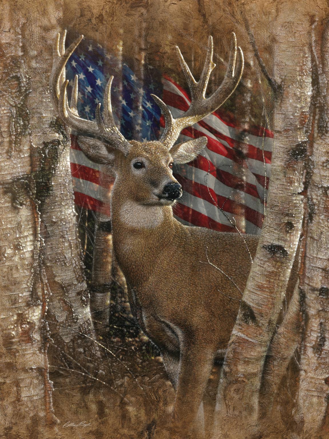 Whitetail Buck By Collin Bogle - Light Brown Classy Art