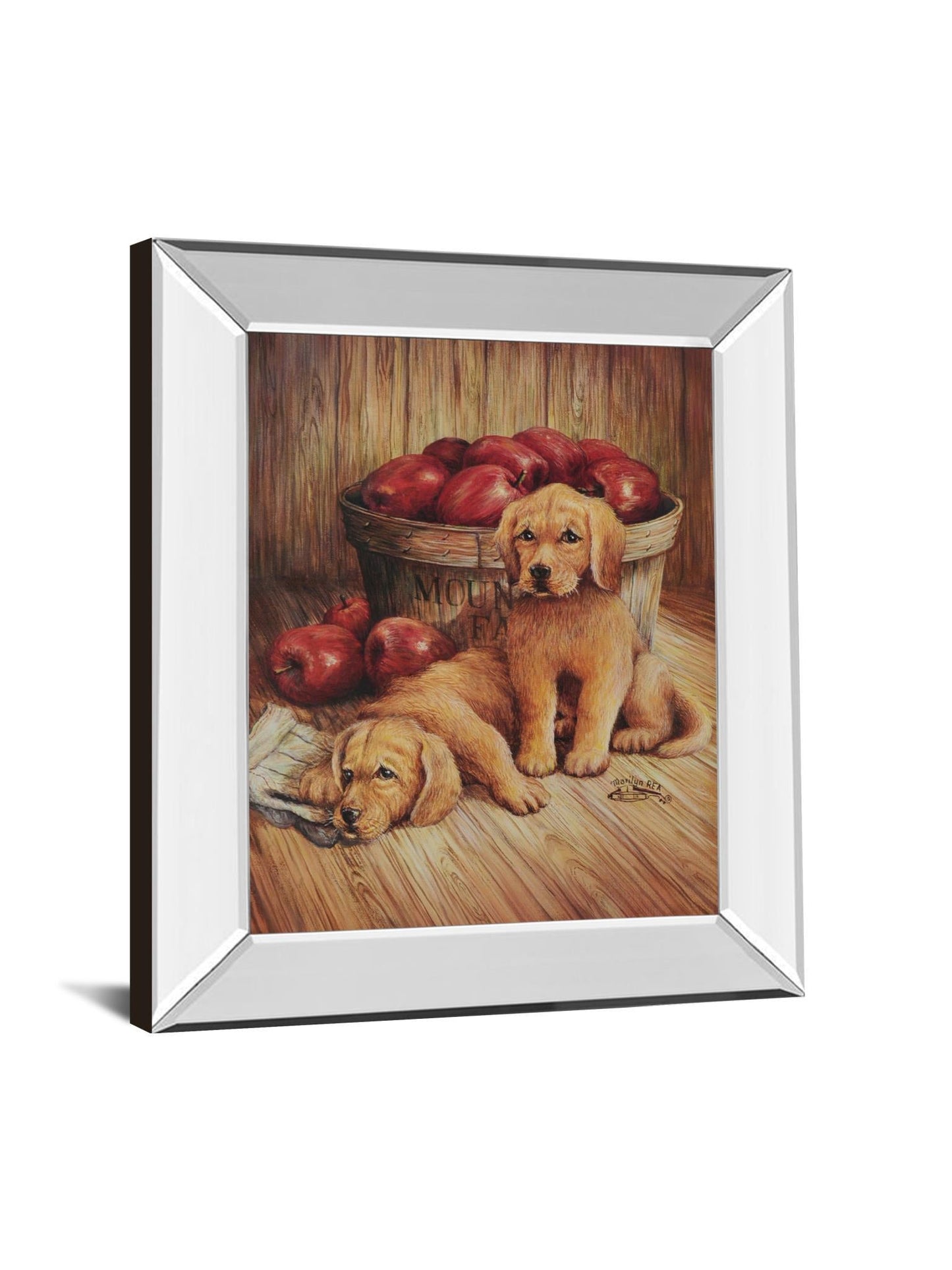 Yellow Labs - Mirror Framed Print Wall Art - Dark Brown Classy Art