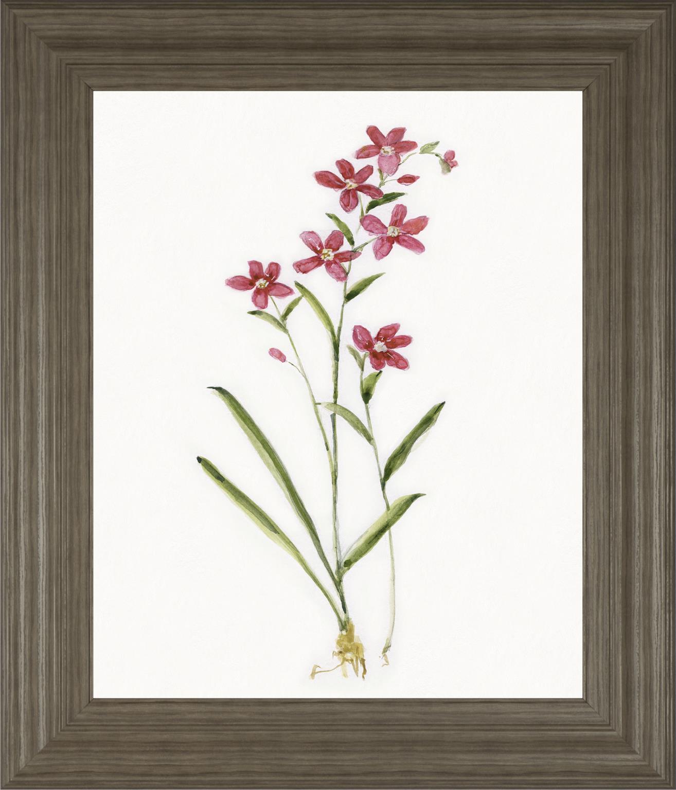 22x26 Delicate Pink I By Sally Swatland - Red Classy Art