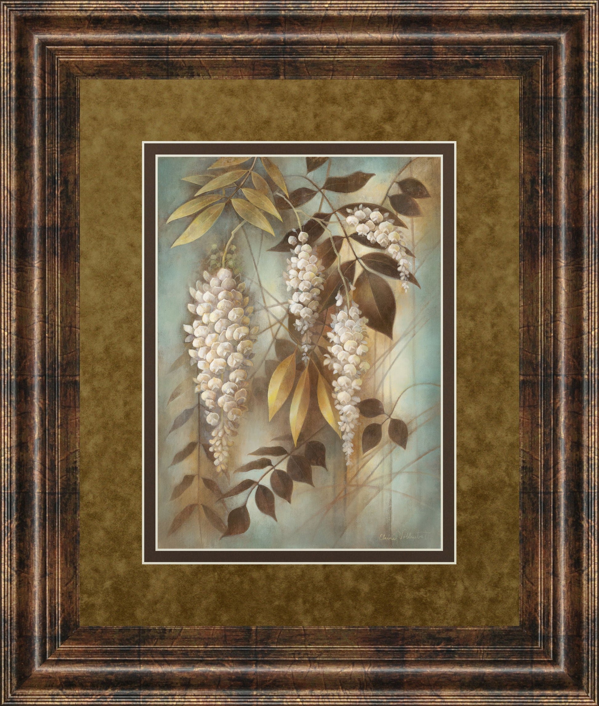 Wisteria Lane Il By Eliane Volherbst-Lane - Framed Print Wall Art - White Classy Art