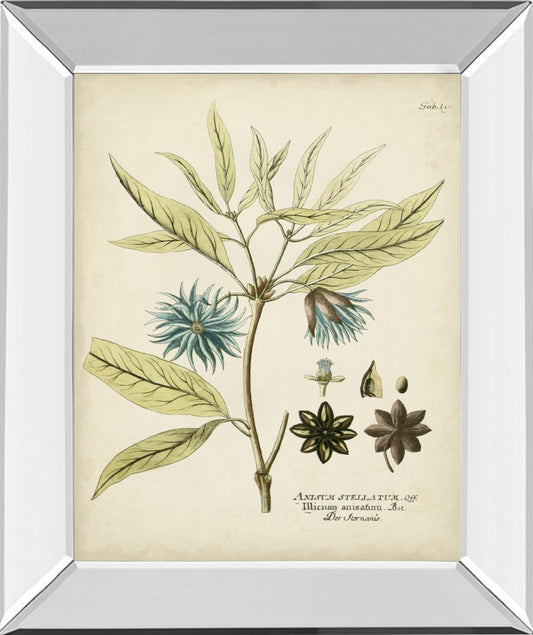 Eloquent Botanical III By Vision Studio - Green Classy Art