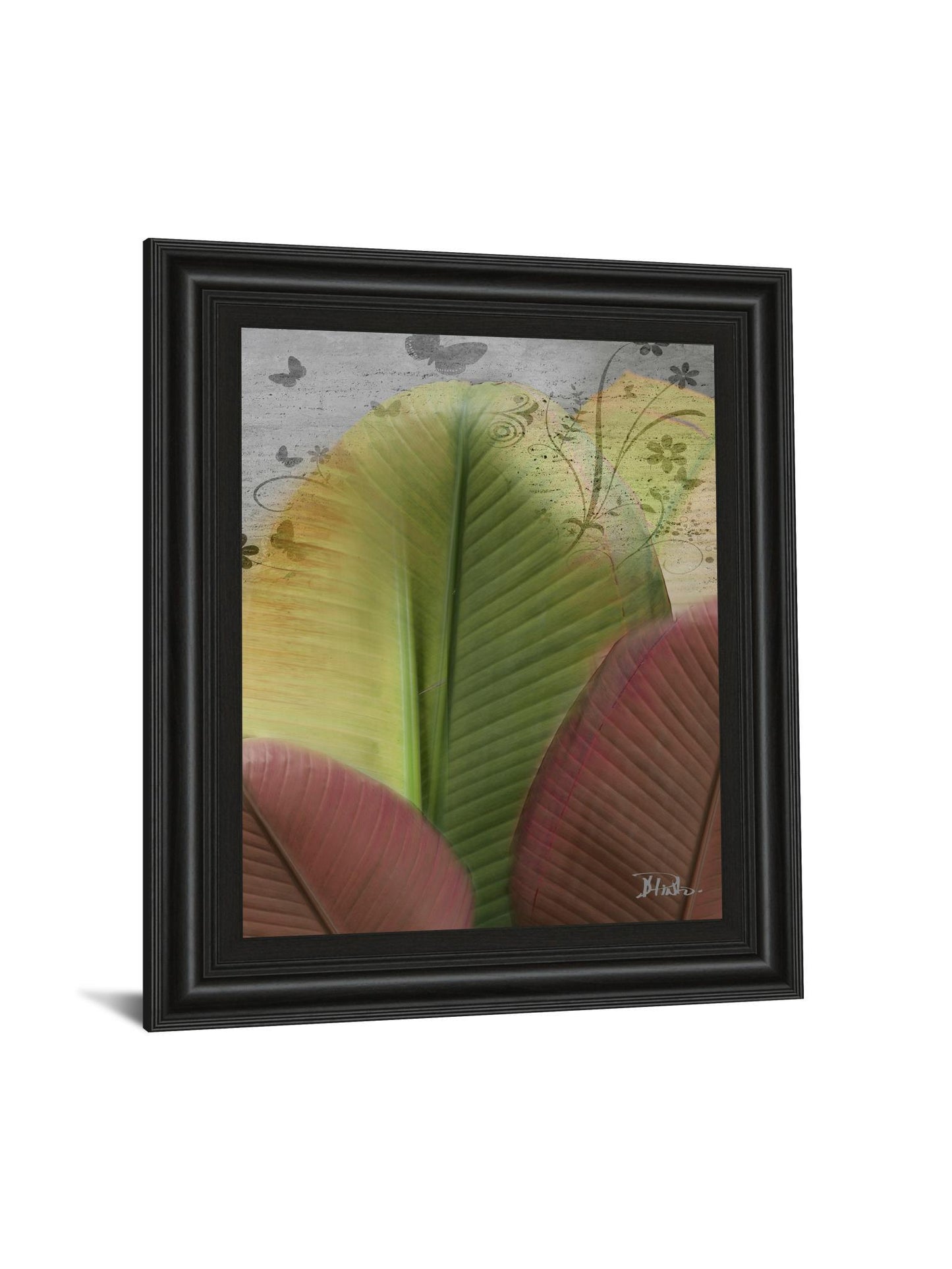 Butterfly Palm I By Patricia Pinto - Framed Print Wall Art - Green Classy Art