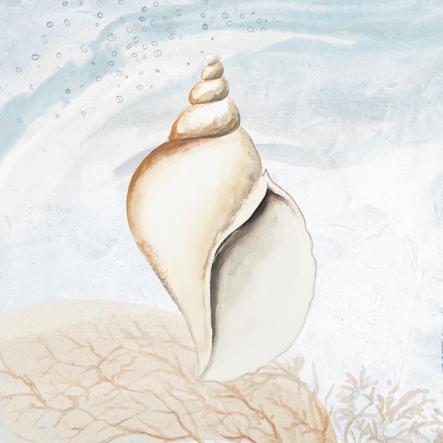 Ocean Oasis Tropical Seashell I By Patricia Pinto - Light Blue Classy Art