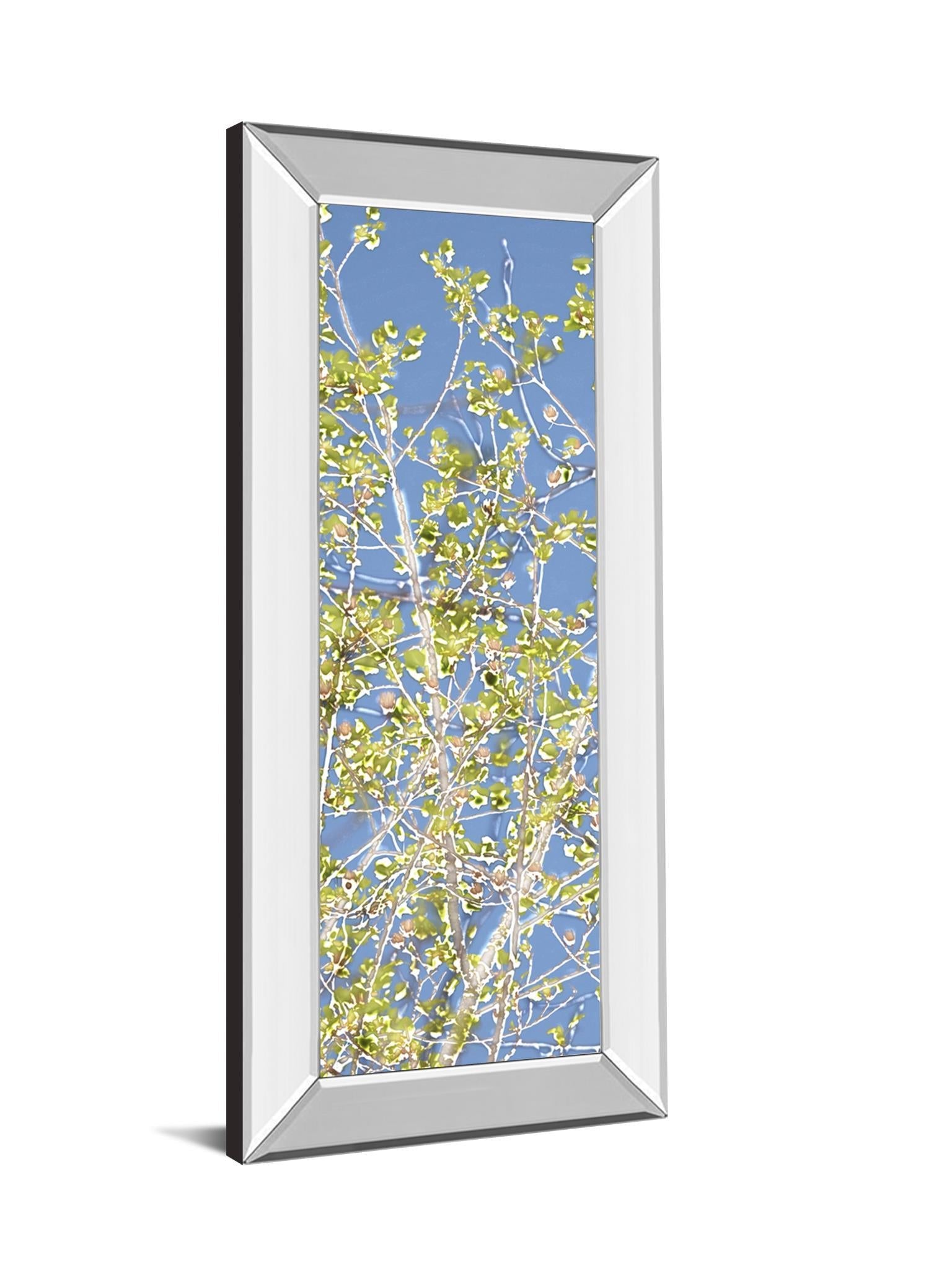 Spring Poplars Il By Sharon Chandler - Mirror Framed Print Wall Art - Green Classy Art