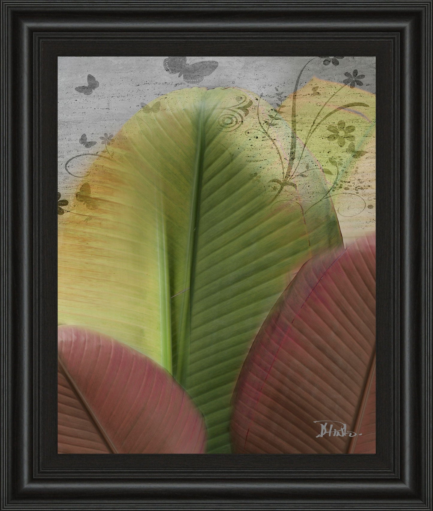 Butterfly Palm I By Patricia Pinto - Framed Print Wall Art - Green Classy Art