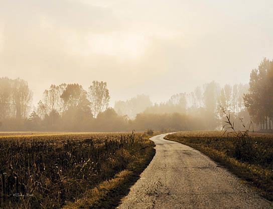 Country Road By Susan Ball - Light Brown Classy Art