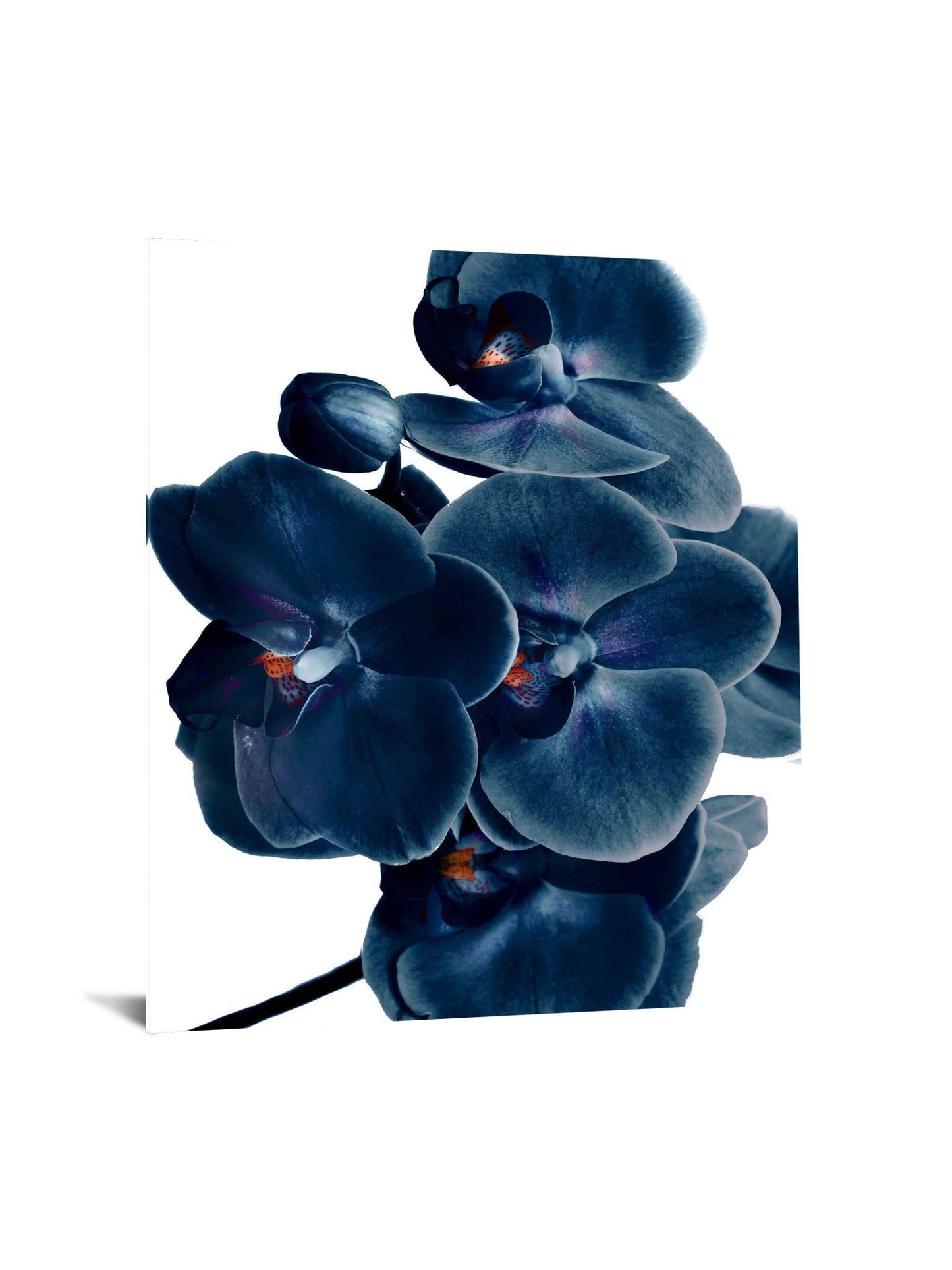 Temp Glass With Foil - Blue Orchid - Blue Classy Art