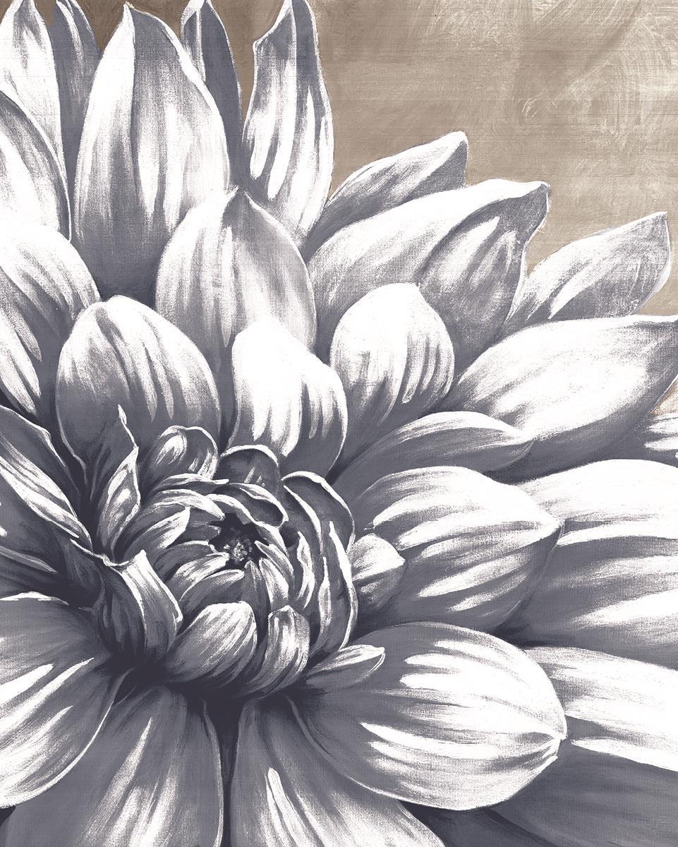 Small - Charming Floral I By Dogwood Portfolio - Gray Classy Art