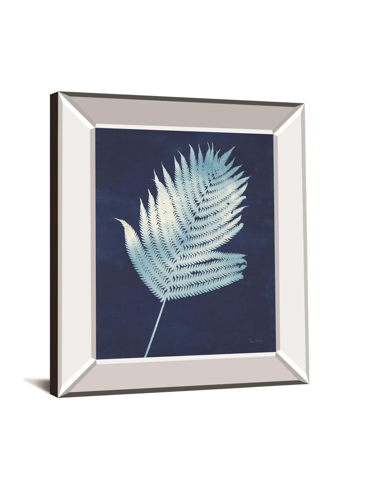 Nature By The Lake Ferns III By Piper Rhue - Mirror Framed Print Wall Art - Blue Classy Art