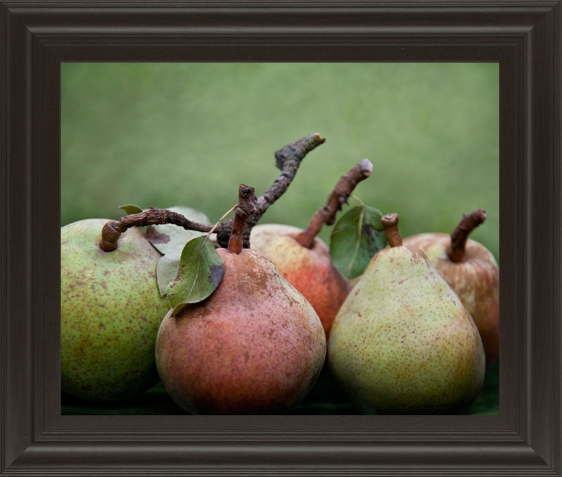 Comice Pear I By Rachel Perry - Framed Print Wall Art - Green Classy Art