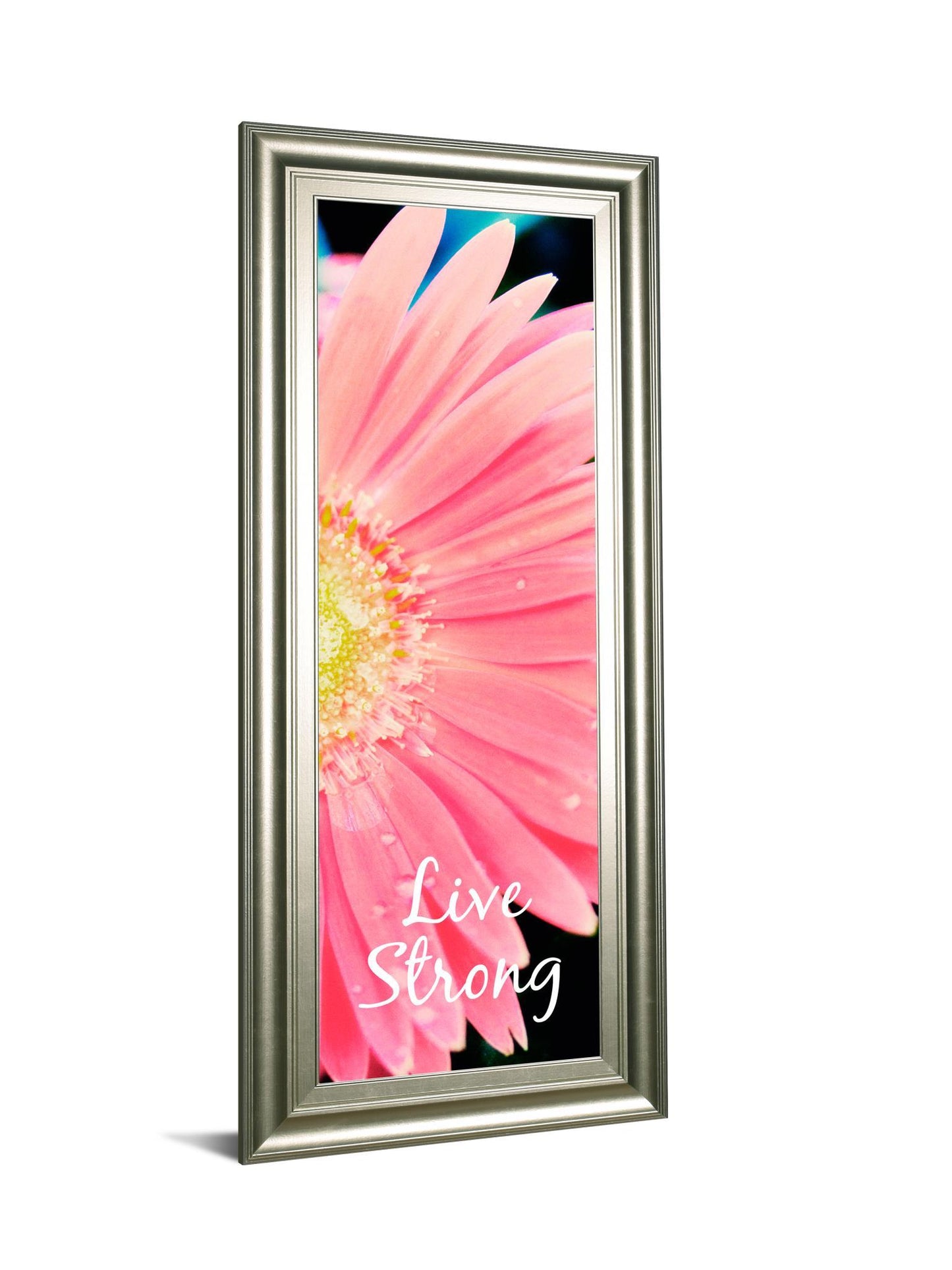 Live Strong Daisy By Susan Bryant - Framed Print Wall Art - Pink Classy Art