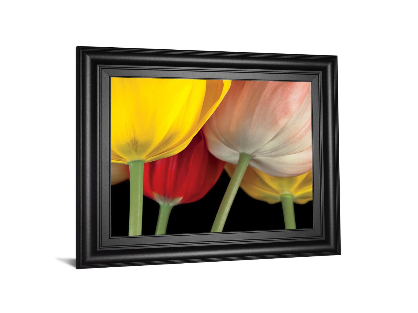 Sunshine Tulips By Frank, A. - Framed Print Wall Art - Yellow Classy Art