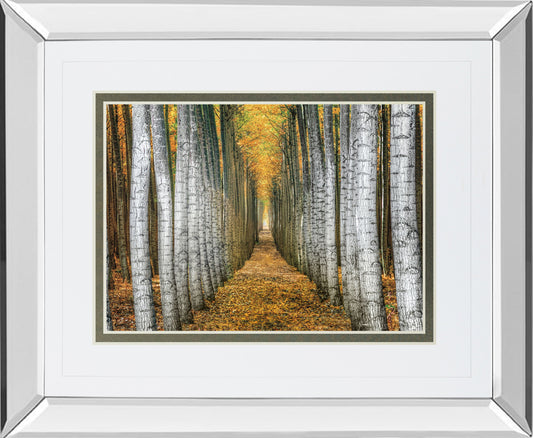 Tree Farm By Cahill - Mirror Framed Print Wall Art - Yellow Classy Art