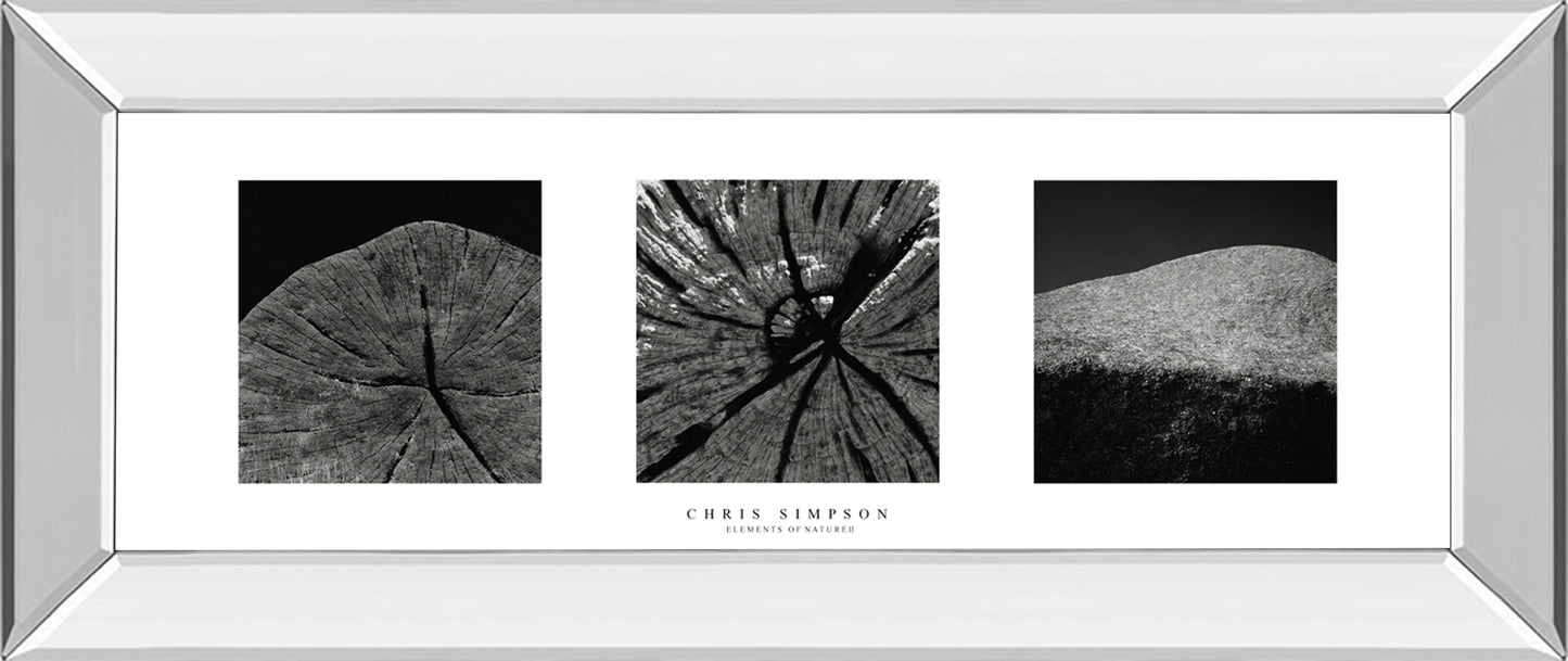 Elements Of Nature 2 By Chris Simpson - Mirror Framed Print Wall Art - Black Classy Art